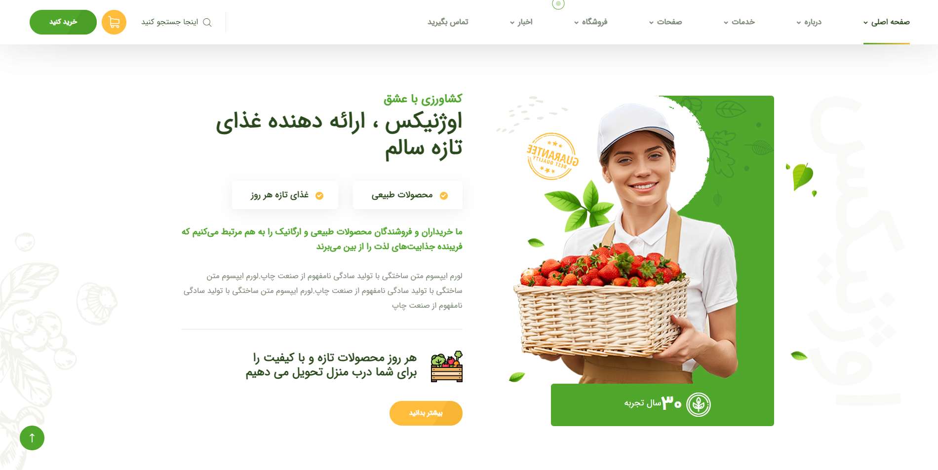 خرید قالب HTML فروشگاهی ارزان