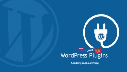 افزونه وردپرس چیست ؟ Wordpress Plugin